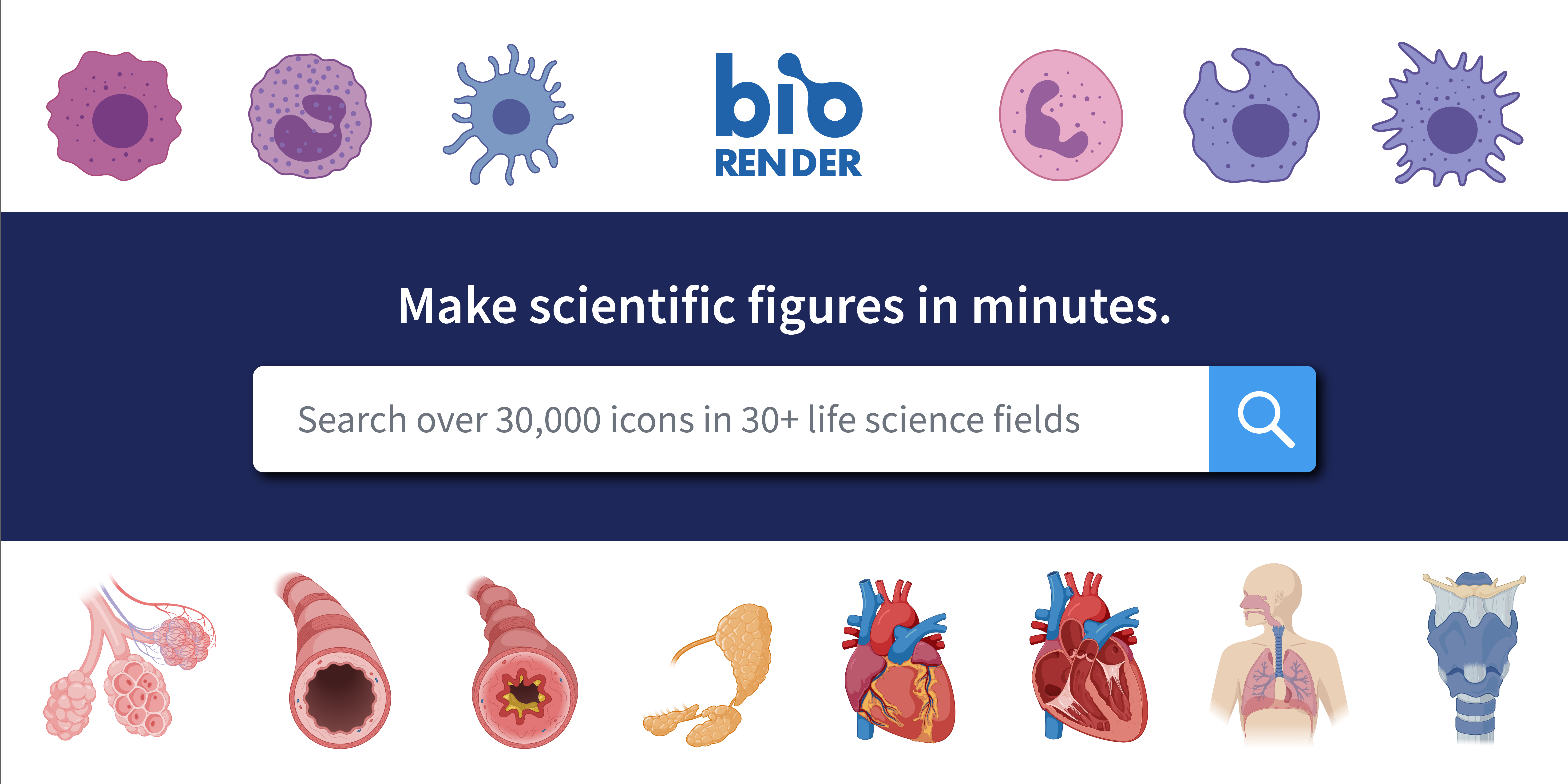 BioRender Life Science Icons